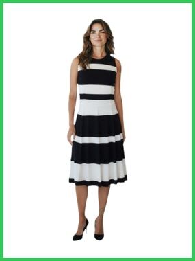 Lauren Ralph Lauren Color Block Sleeveless Fit & Flare Dress